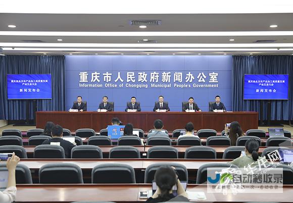 重庆市政府网站建设及相关服务